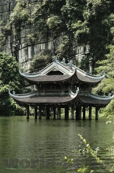 仙踪林果冻传媒-仙踪林果冻传媒,探索数字时代的创意与娱乐新境界